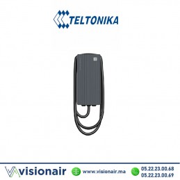Borne de recharge Teltonika Teltocharge 22 kW avec câble 5m Wifi/LAN 32A Casablanca Maroc