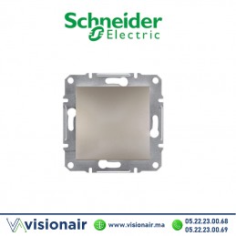 Obturateur Schneider Asfora bronze EPH5600169 Casablanca Maroc