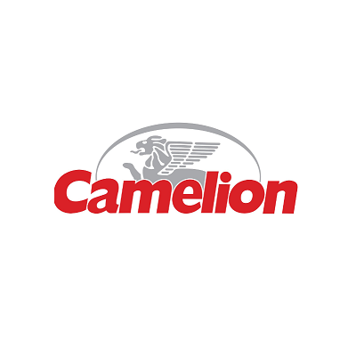 Fournisseur & distributeur de piles CAMELION Maroc - VISIONAIR Maroc