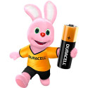 DURACELL Maroc